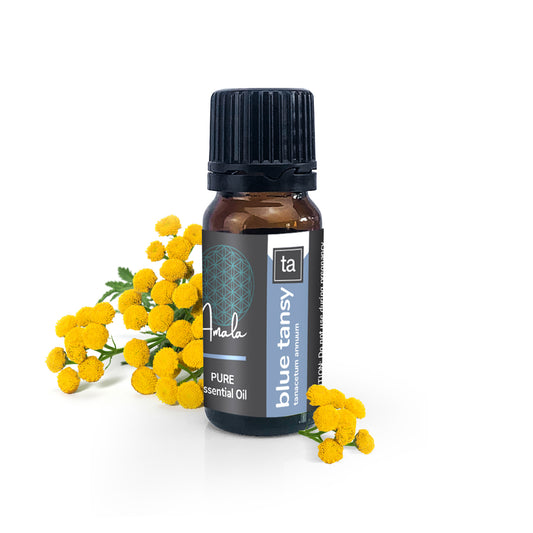 Blue Tansy Wild Harvested Essential Oil - essentoils.co.za