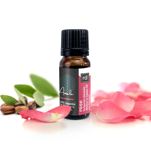 Rose - Bulgarian Absolute Dilution in Jojoba Oil