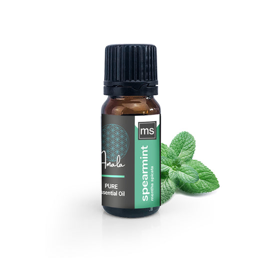 Spearmint Organic Essential Oil - 10ml - essentoils.co.za