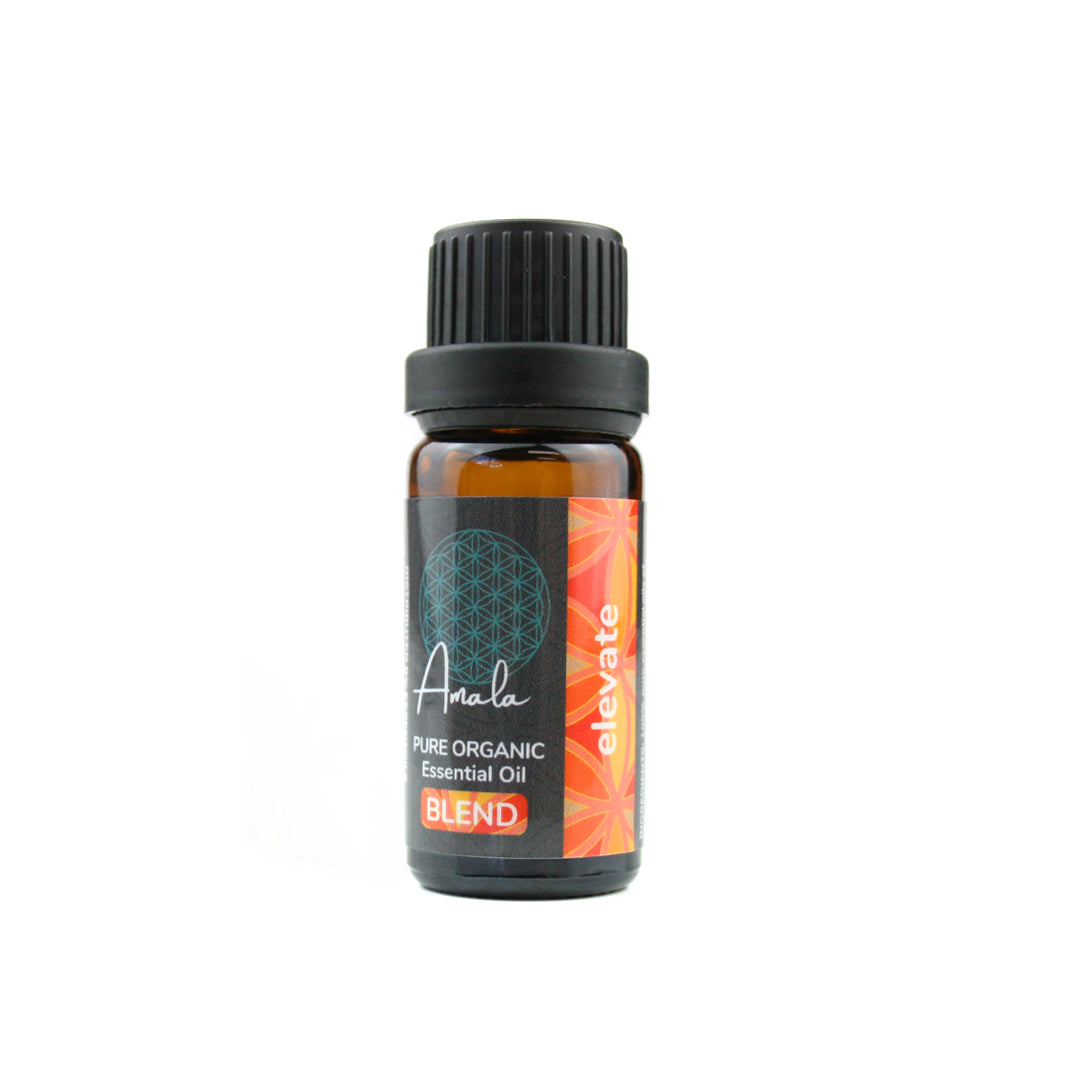 Elevate Essential Oil Blend - essentoils.co.za