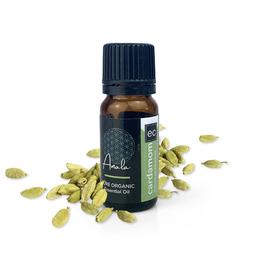Cardamom Organic Essential Oil - 10ml - essentoils.co.za