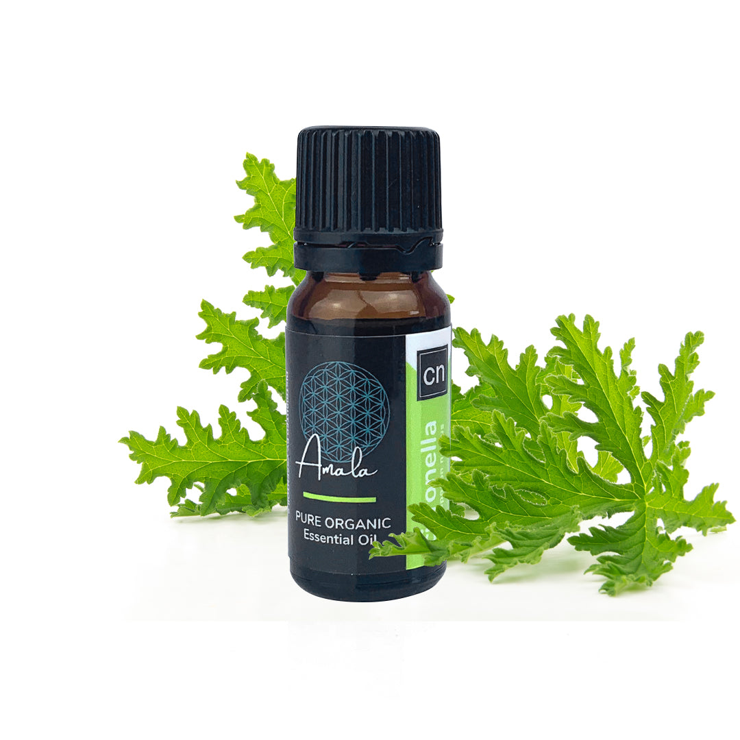 Citronella Organic Essential Oil