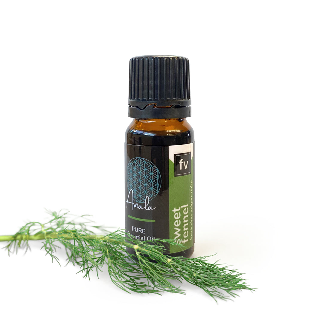 Fennel Sweet Organic Essential Oil 100% Pure 10ml 