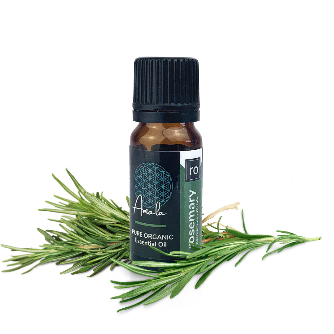 Rosemary Essential Oil – AVD ORGANICS