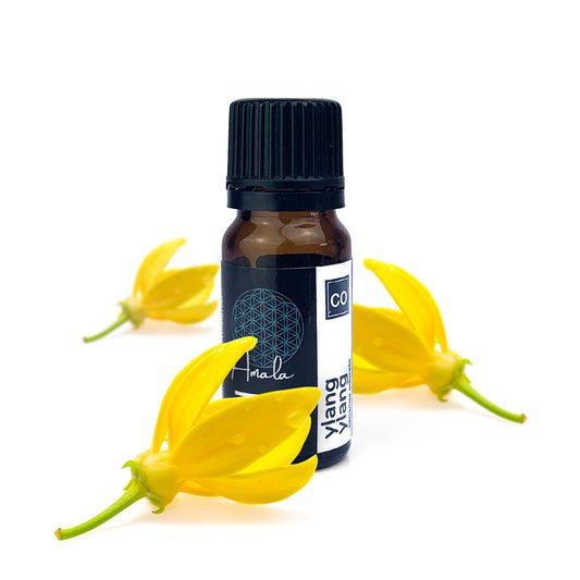 Ylang Ylang Organic Essential Oil - 10ml - essentoils.co.za