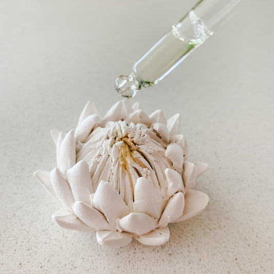 Ceramic Protea Diffuser - essentoils.co.za