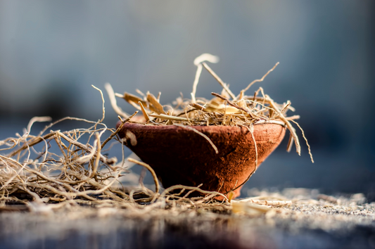 Soothe Your Mind and Skin with Vetiver Essential Oil