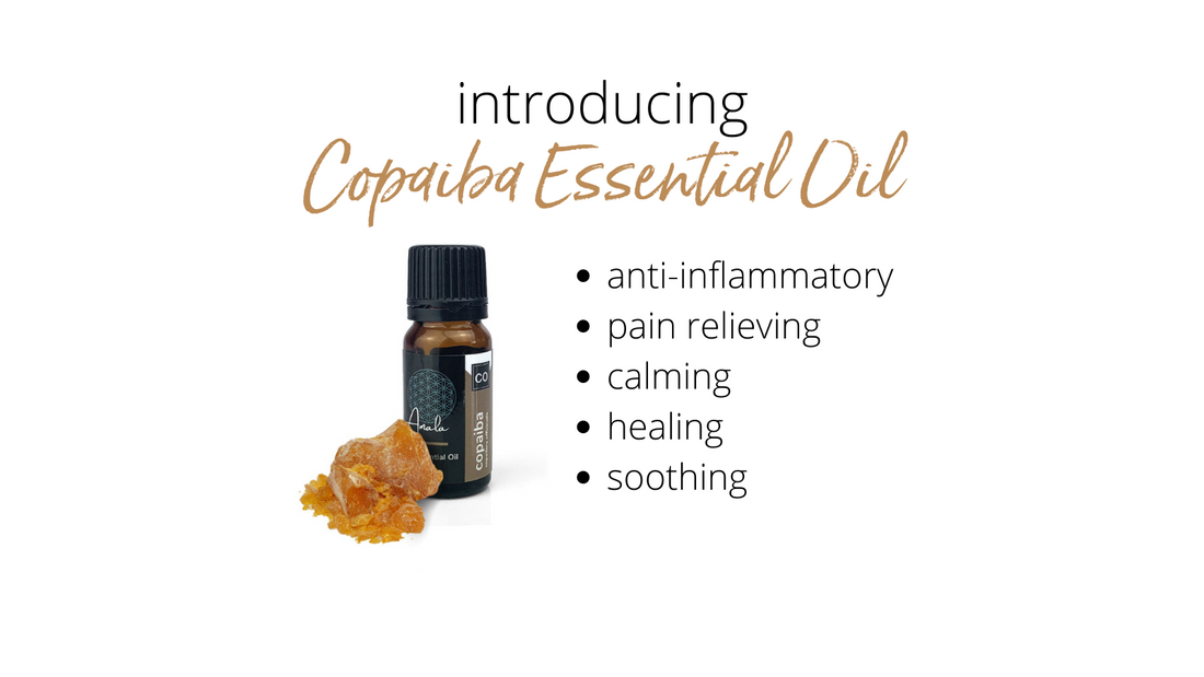 The Uses and Benefits of Copaiba Essential Oil