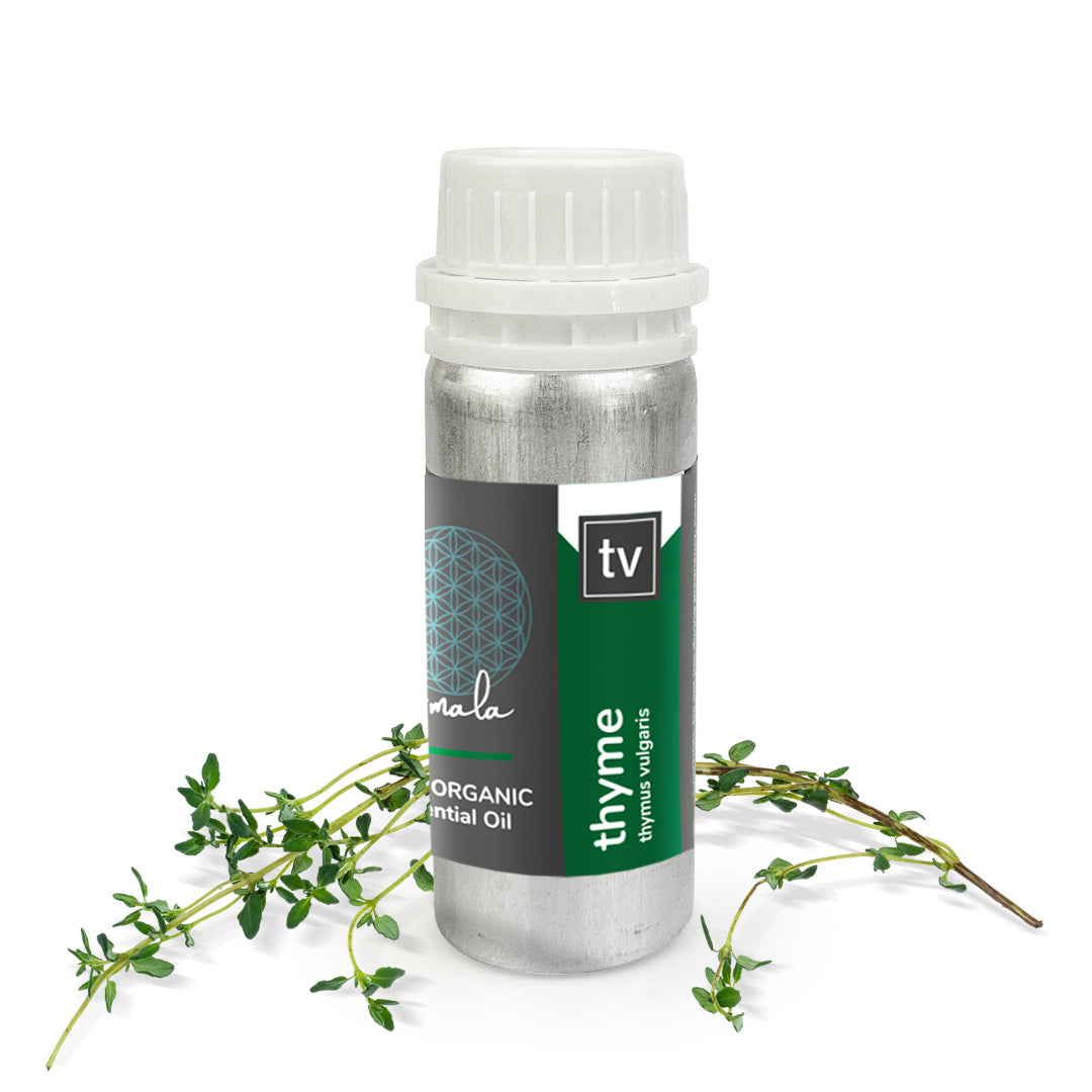 Thyme Organic Essential Oil - 100ml - essentoils.co.za