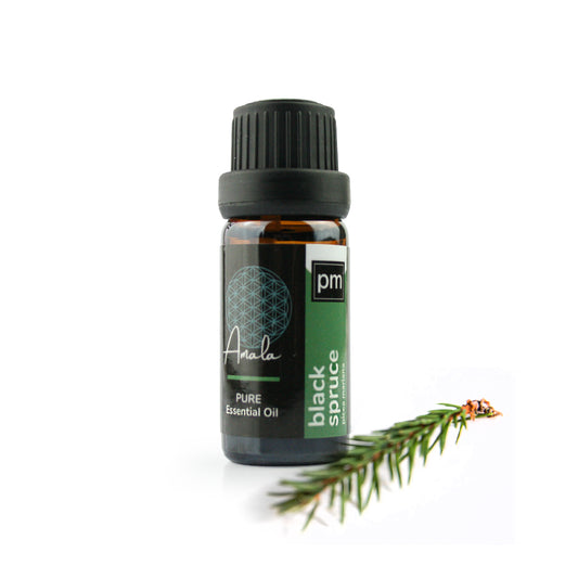 Spruce- Black Wild Harvested Essential Oil