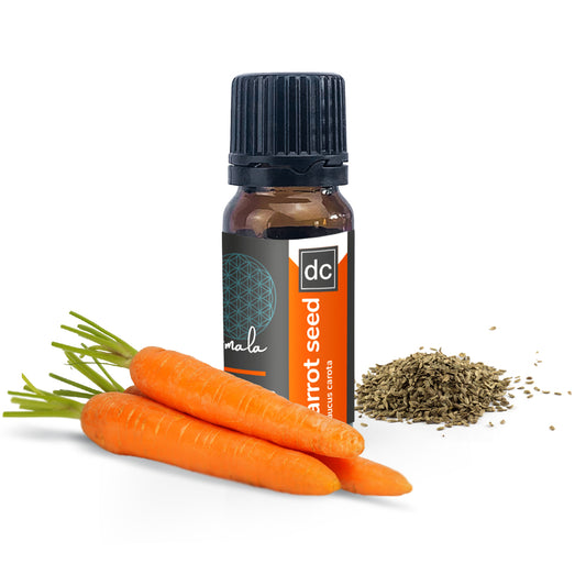 Carrot Seed Organic Essential Oil - 10ml - essentoils.co.za