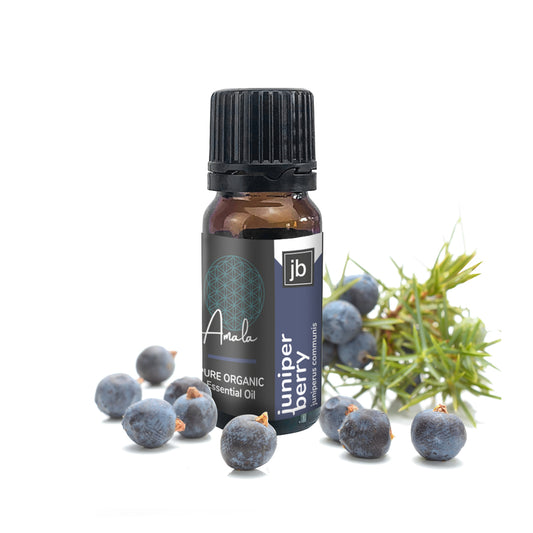 Juniper Berry Organic Essential Oil - 10ml - essentoils.co.za