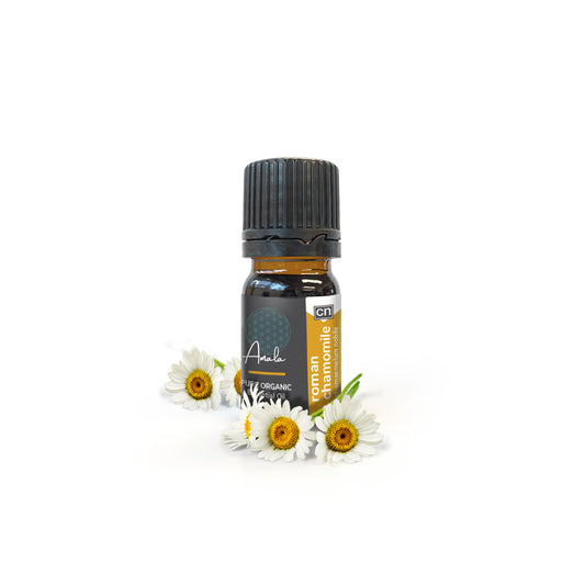 Chamomile, Roman Organic Essential Oil - 5ml - essentoils.co.za