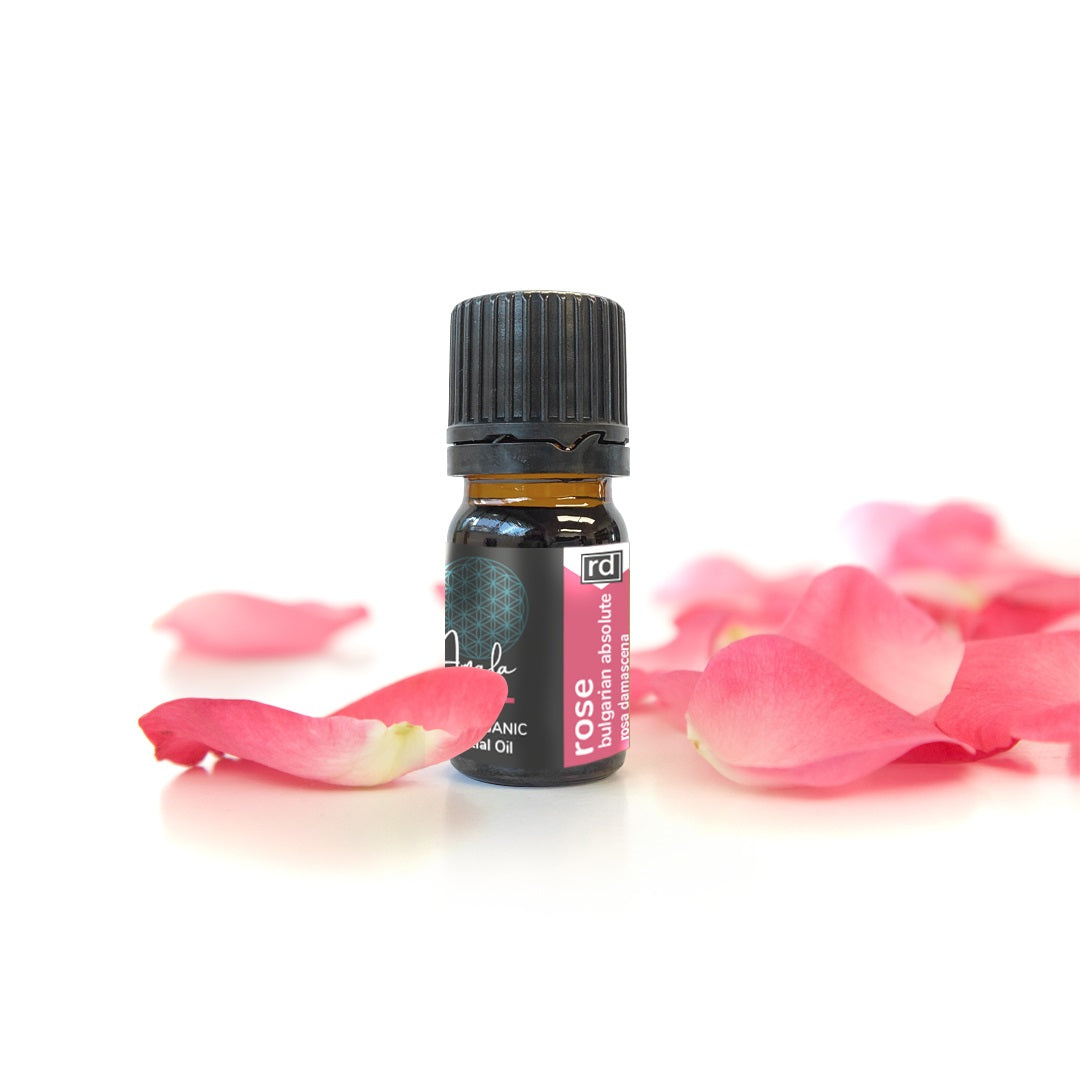 Rose - Bulgarian Absolute Oil - 5ml