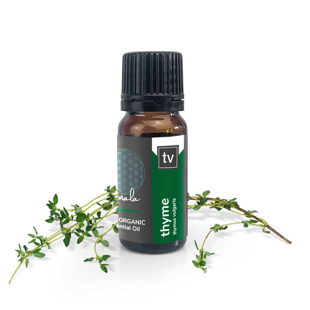 Thyme Organic Essential Oil - 10ml - essentoils.co.za