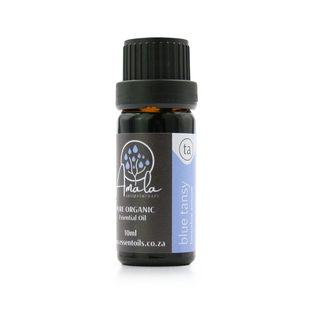 Blue Tansy Wild Harvested Essential Oil