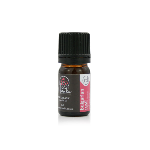 Rose - Bulgarian Absolute Oil - 5ml – essentoils.co.za