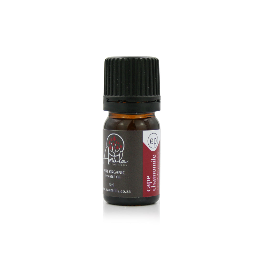 Chamomile, Cape Essential Oil - 5ml