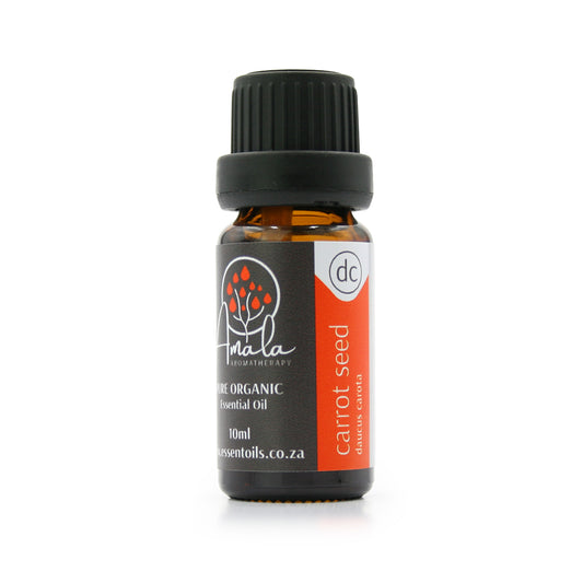 Carrot Seed Organic Essential Oil
