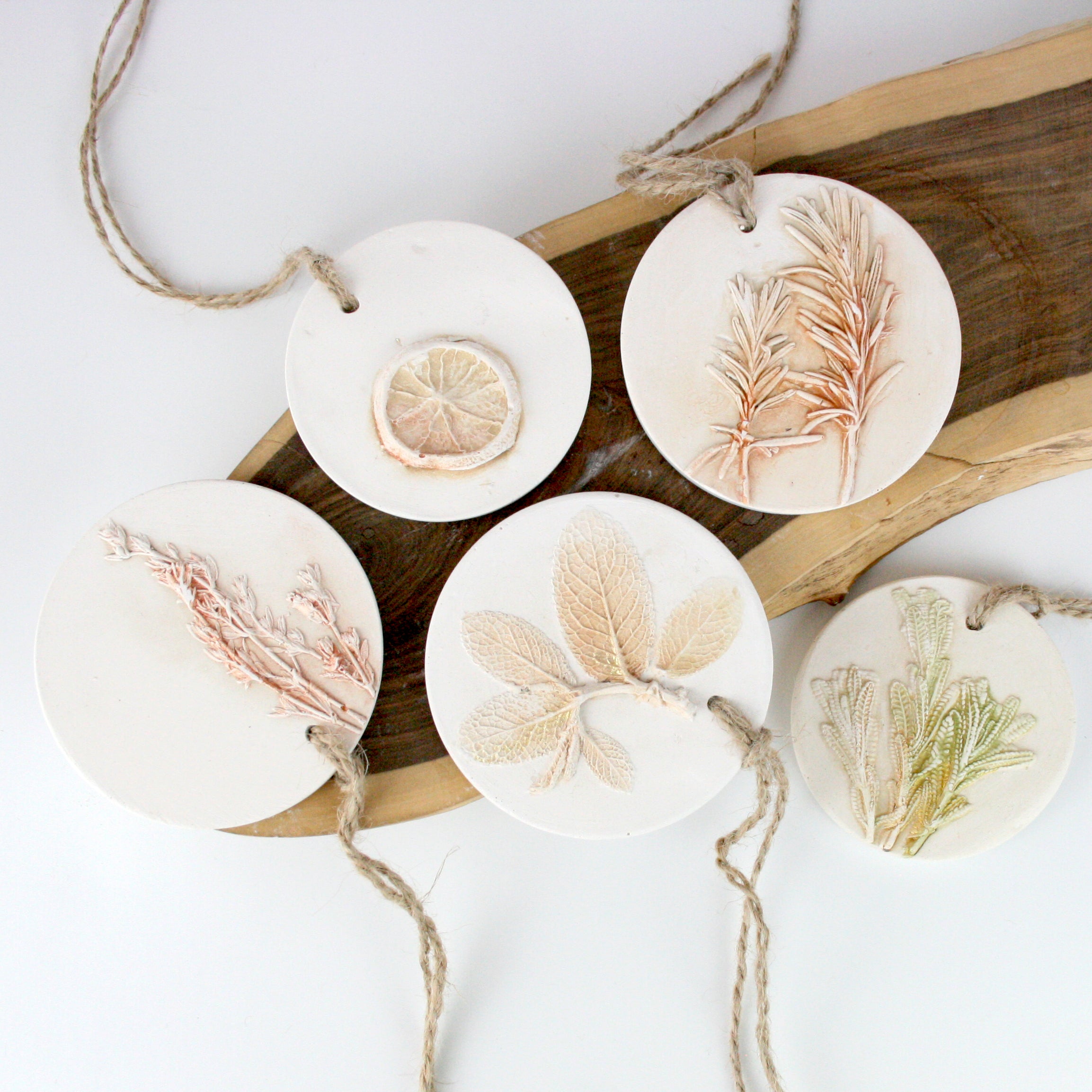 Botanical Plaster Cast Diffuser Disks – essentoils.co.za