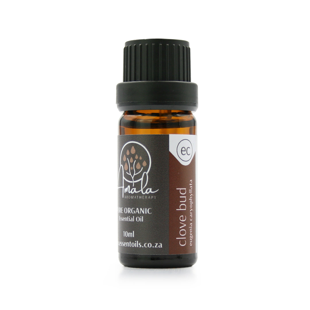 Clove Organic Essential Oil