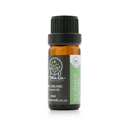 Eucalyptus Smithii Organic Essential Oil