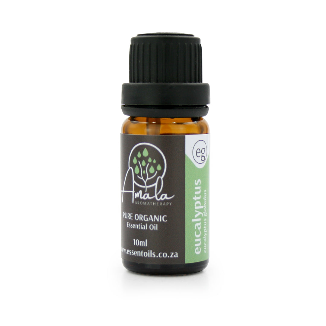 Eucalyptus Globulus Organic Essential Oil