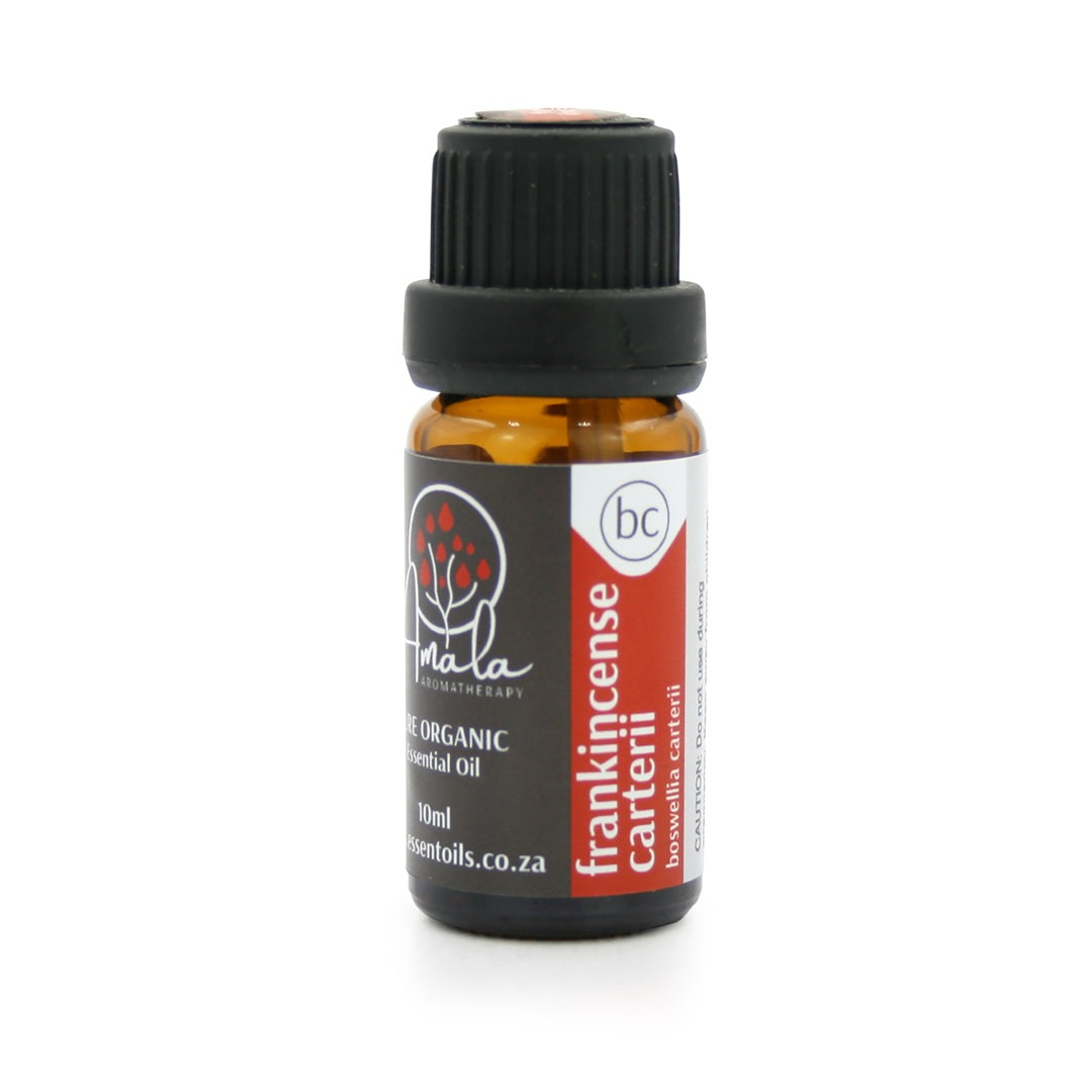 Frankincense Carterii Organic Essential Oil