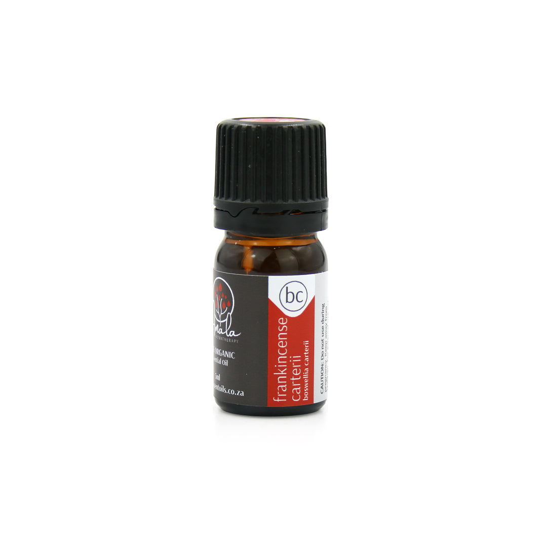 Frankincense Carterii Organic Essential Oil