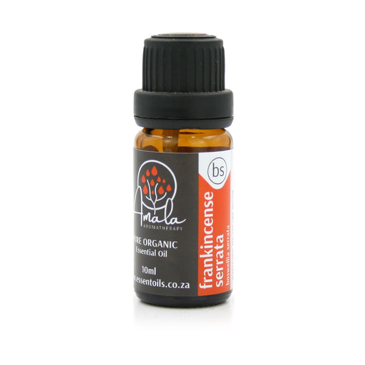 Frankincense Serrata Organic Essential Oil