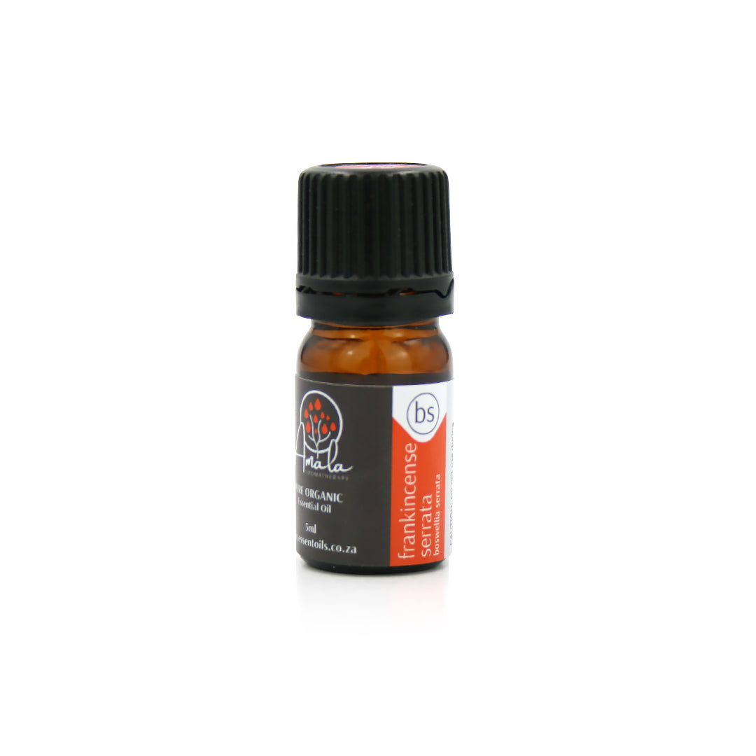 Frankincense Serrata Organic Essential Oil