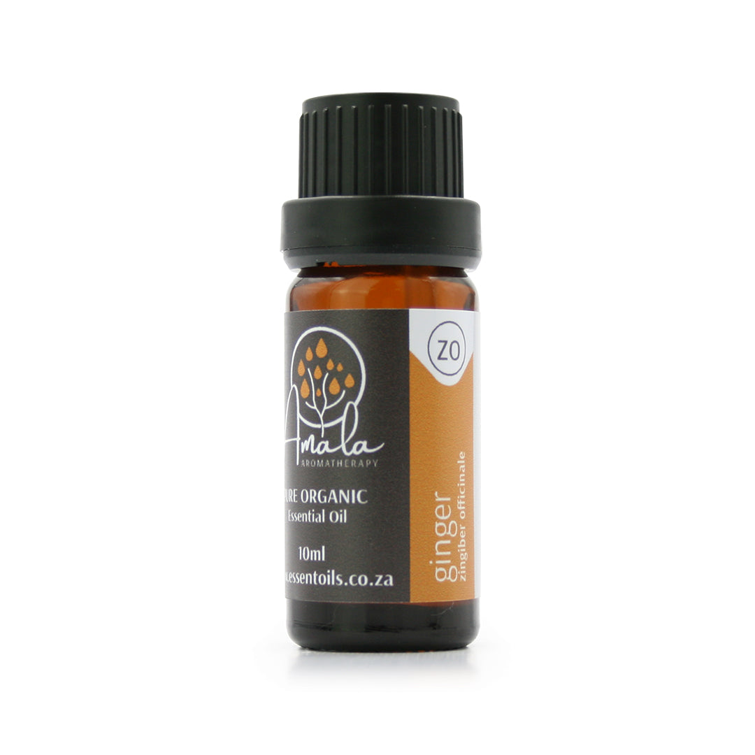 Ginger Organic Essential Oil
