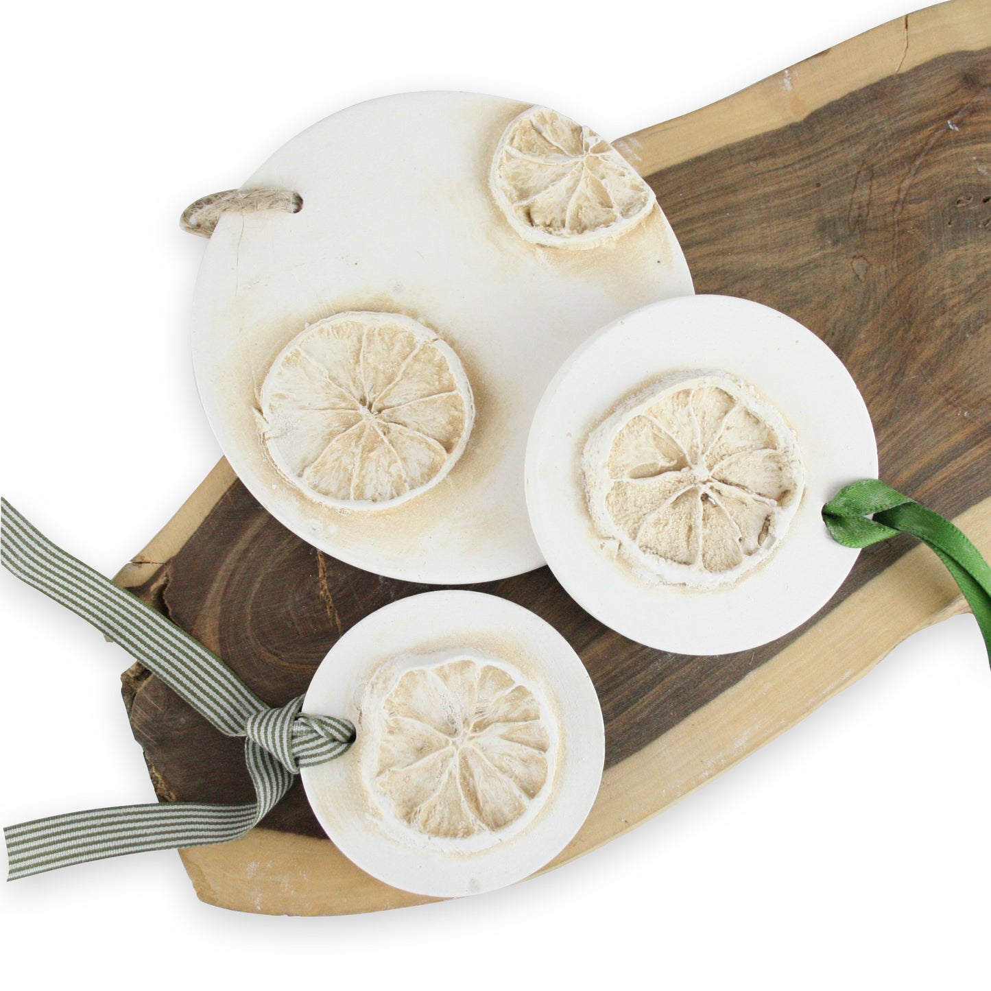 Botanical Plaster Cast Diffuser Disks