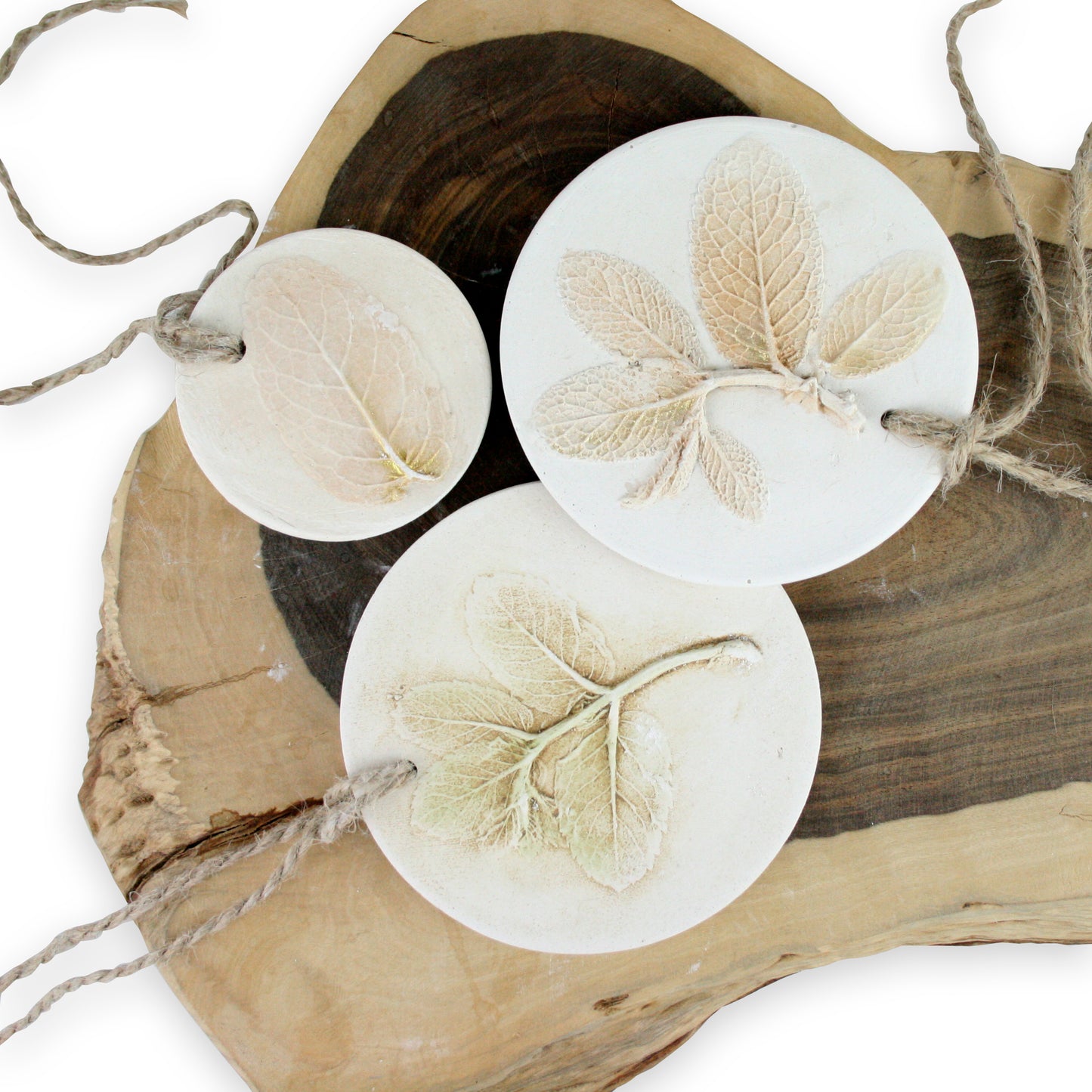 Botanical Plaster Cast Diffuser Disks