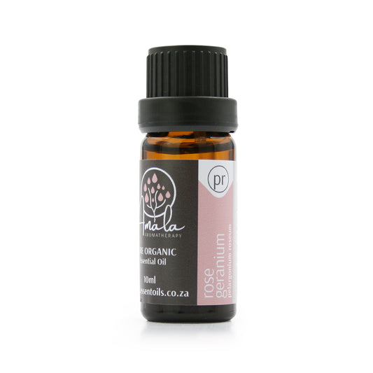 Rose Geranium Organic Essential Oil