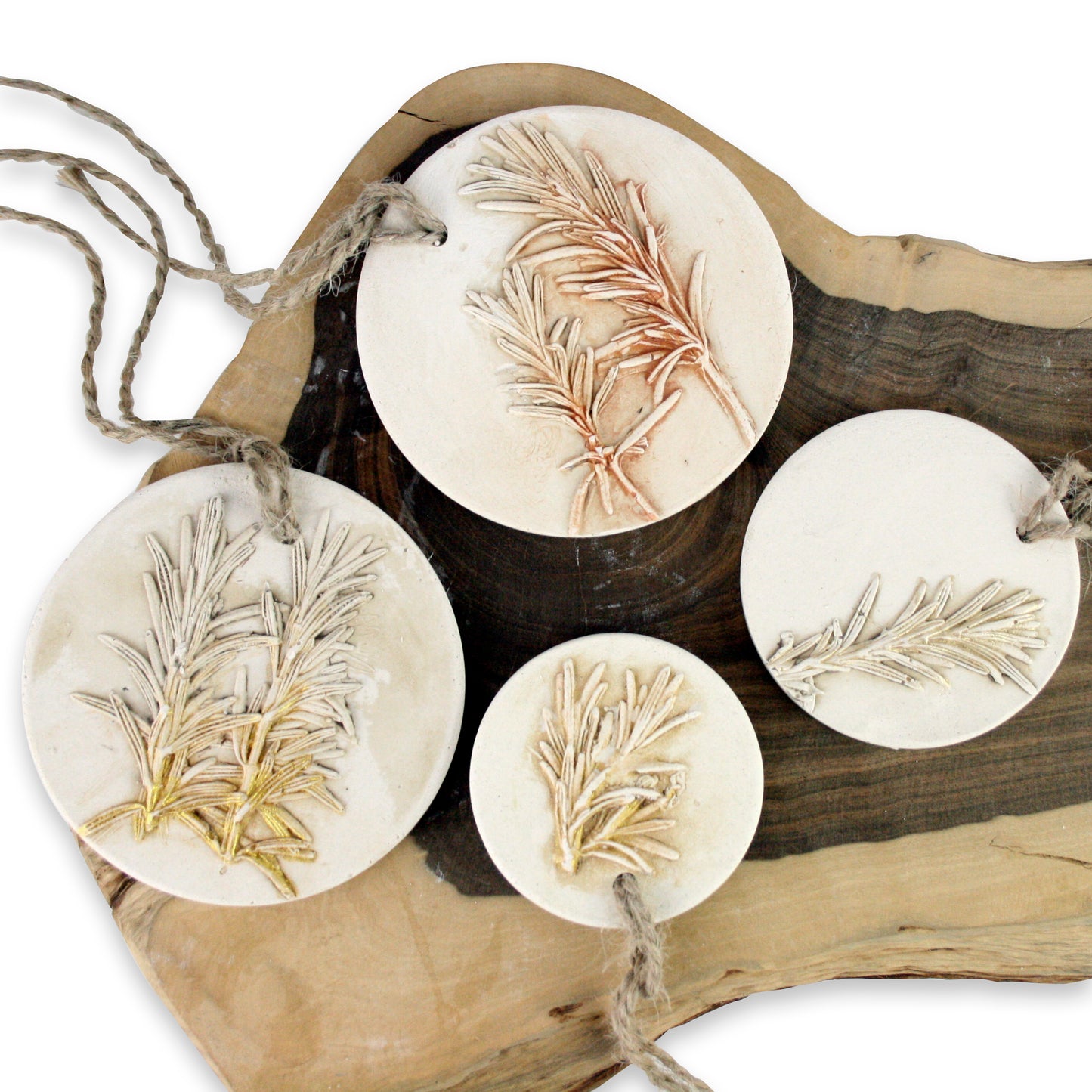 Botanical Plaster Cast Diffuser Disks