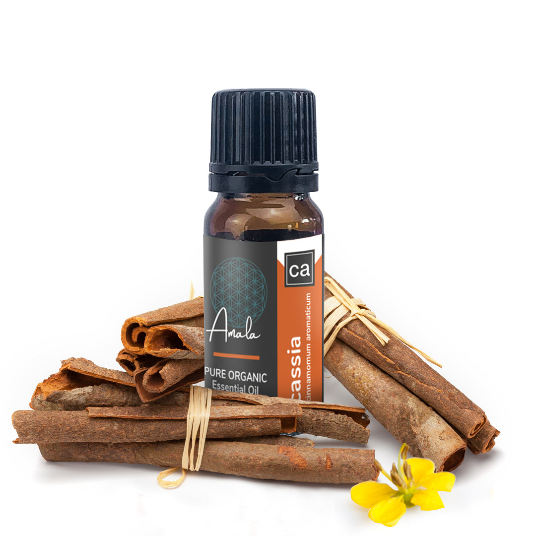 Cassia Organic Essential Oil - 10ml - essentoils.co.za