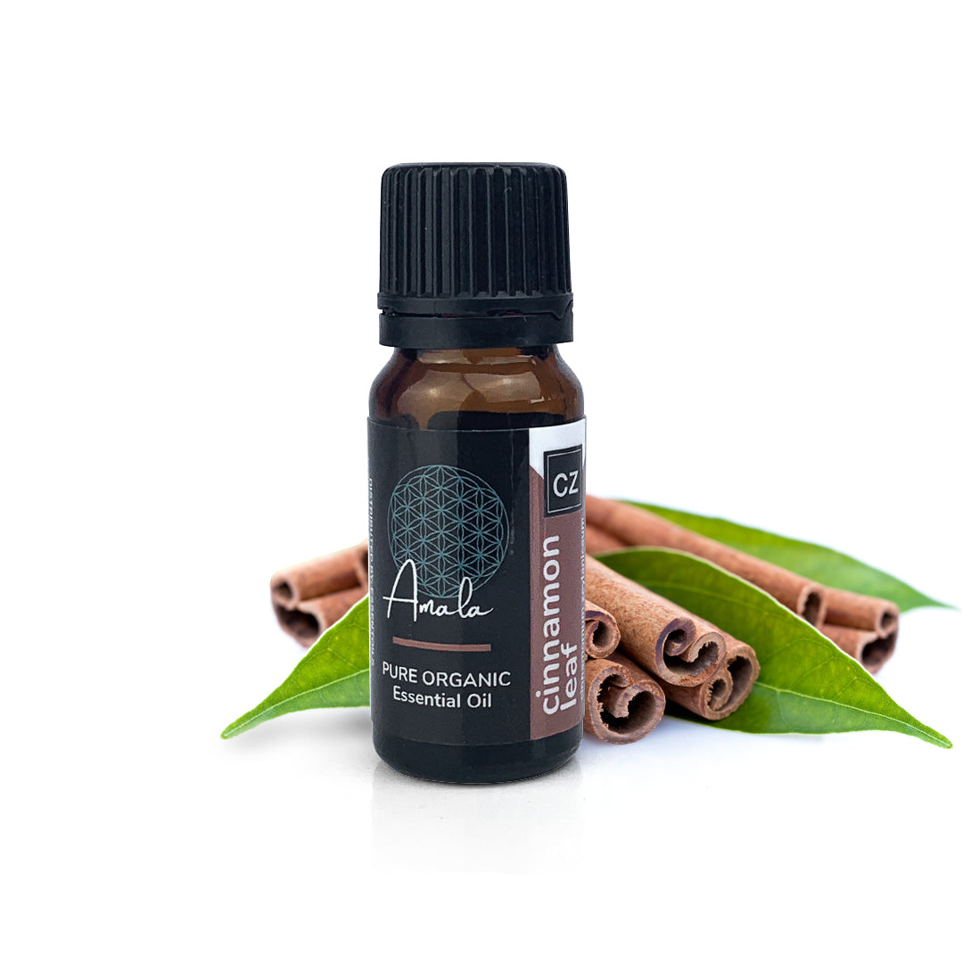 Cinnamon Leaf Organic Essential Oil - 10ml - essentoils.co.za