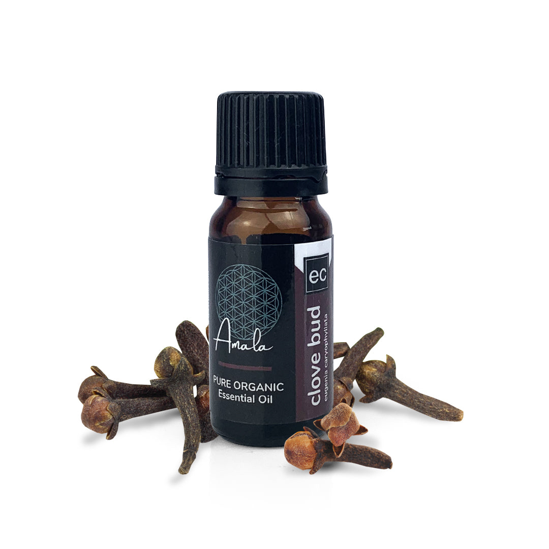 Clove Organic Essential Oil - 10ml - essentoils.co.za