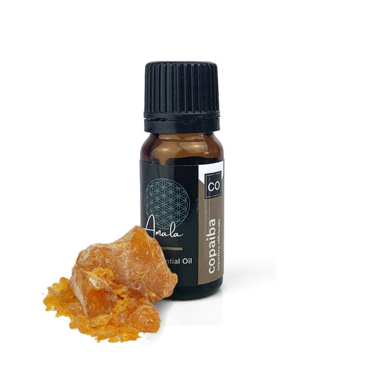 Copaiba Wild Harvested Essential Oil - 10ml - essentoils.co.za