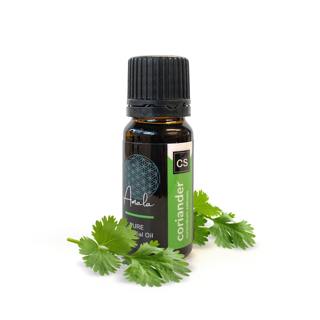 Coriander Leaf Organic Essential Oil - 10ml - essentoils.co.za