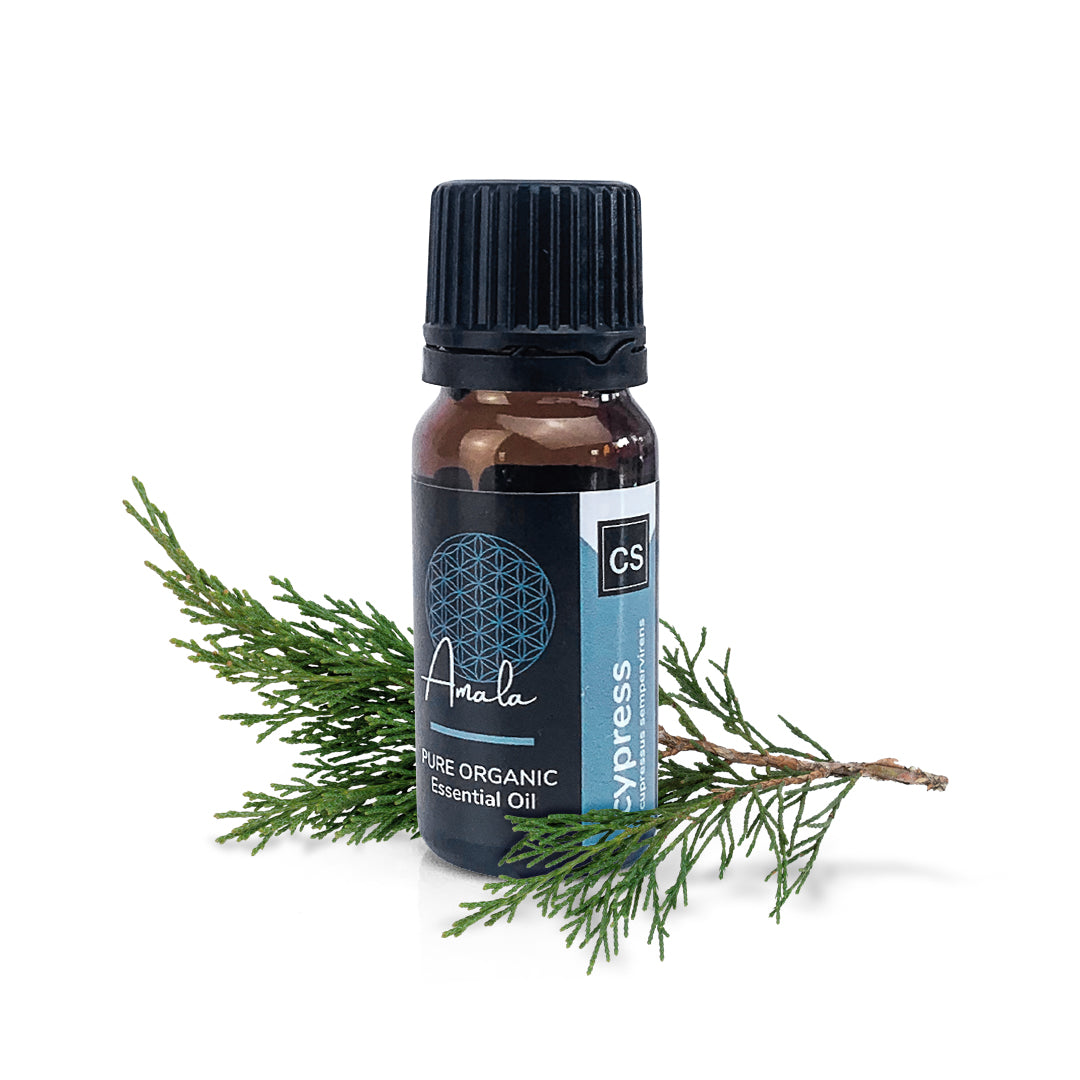 Cypress Organic Essential Oil - 10ml - essentoils.co.za