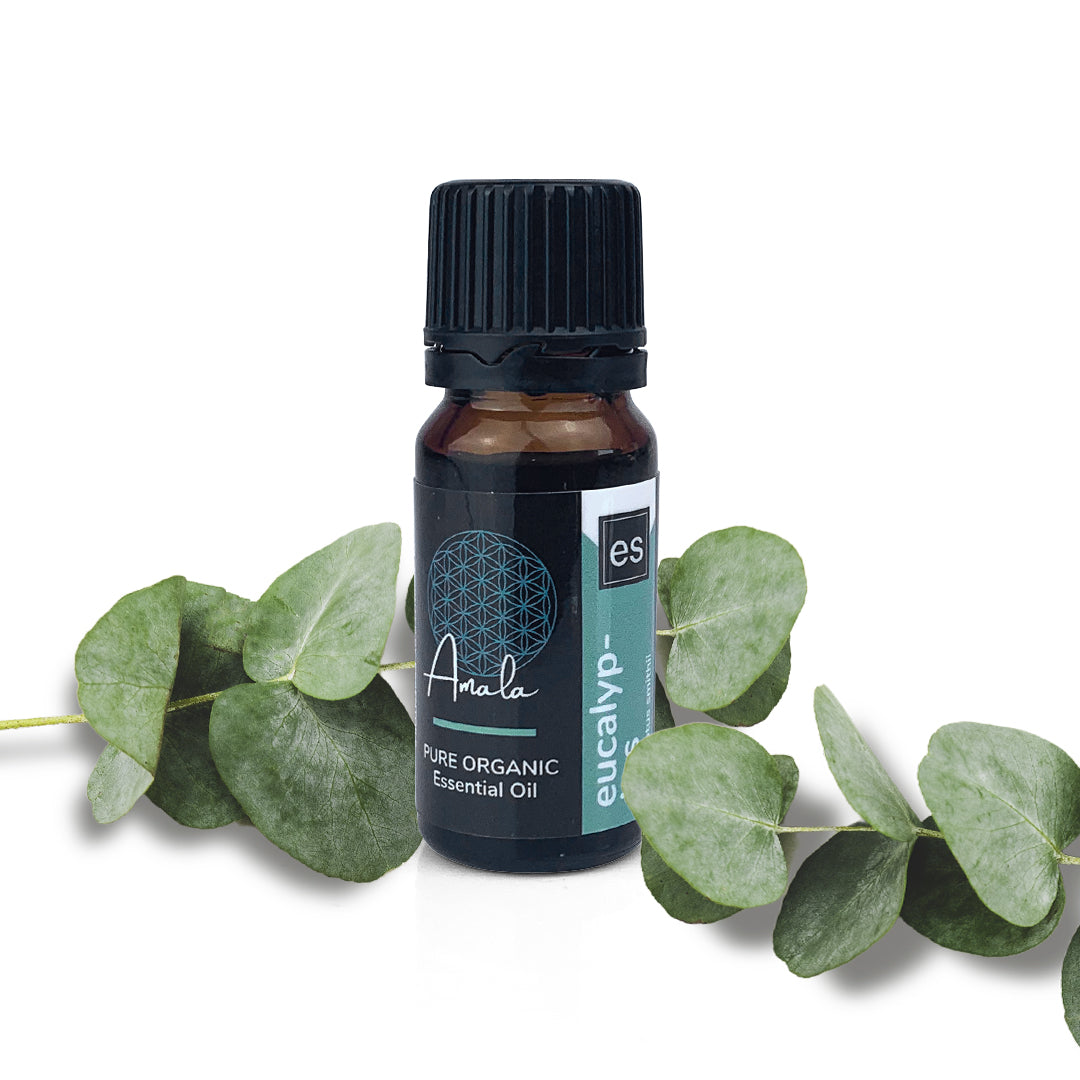 Eucalyptus Organic Essential Oil - 10ml - essentoils.co.za