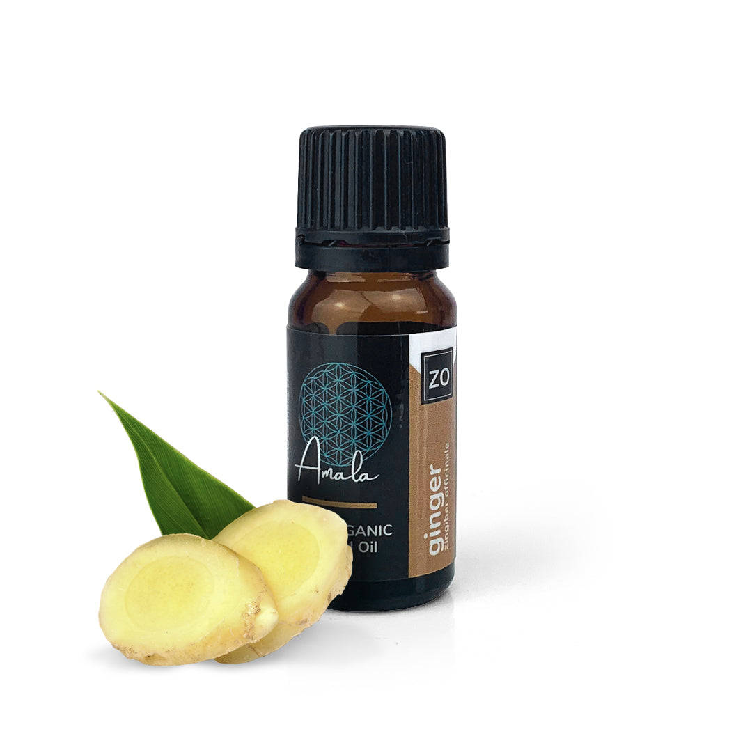 Ginger Organic Essential Oil - 10ml - essentoils.co.za