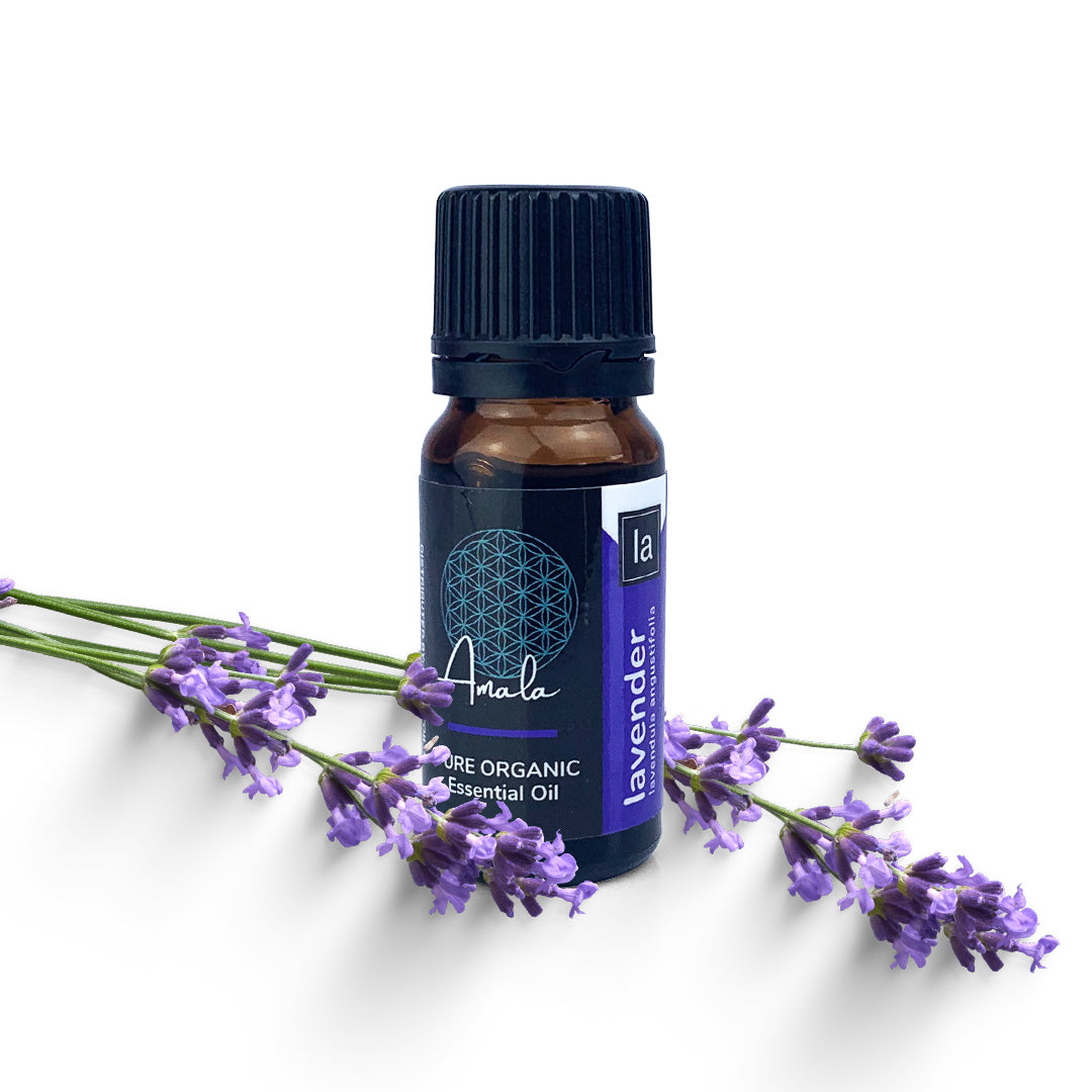 Lavender Organic Essential Oil - 10ml - essentoils.co.za