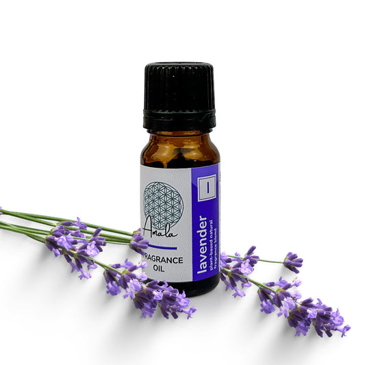 Lavender Natural Fragrance Oil - 10ml - essentoils.co.za
