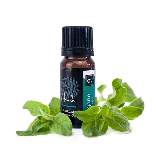 Oregano Organic Essential Oil - essentoils.co.za