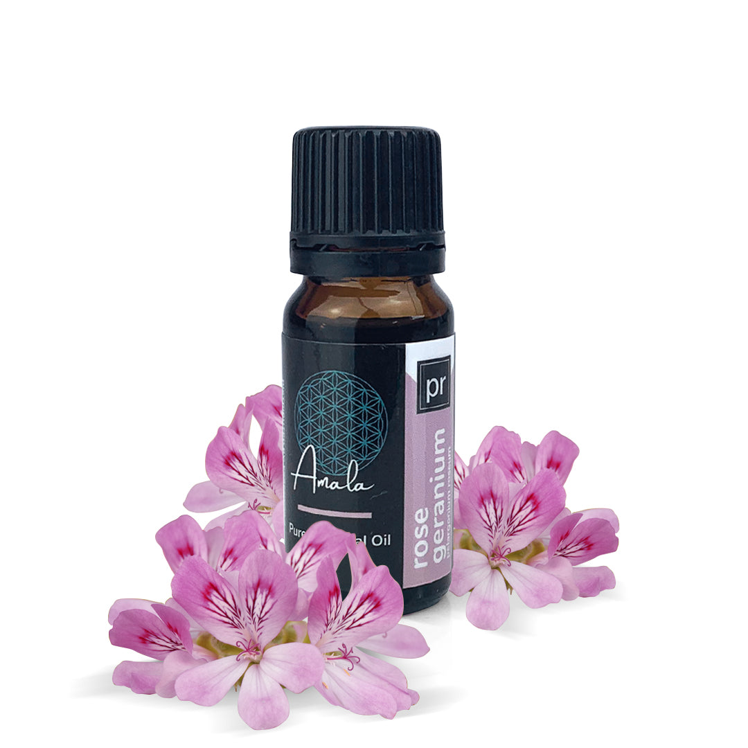 Rose Geranium Organic Essential Oil - 10ml - essentoils.co.za