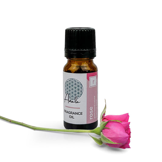 Rose Natural Fragrance Oil - 10ml - essentoils.co.za
