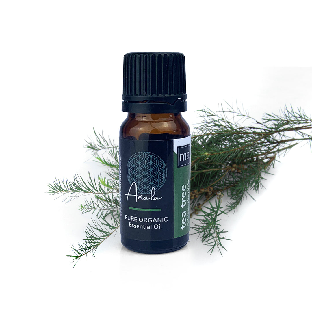 Tea Tree Organic Essential Oil - 10ml - essentoils.co.za